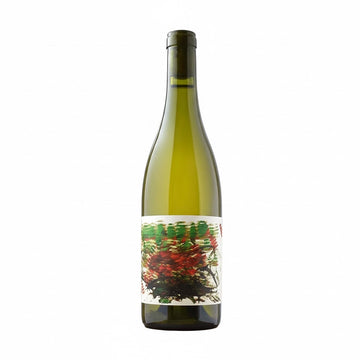 Quintet 2024 - Languedoc - Winery