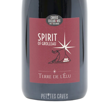 Spirit of Grolleau 2020 - Land of the Chosen - Vin de France - Exclusive Cuvée Petites Caves