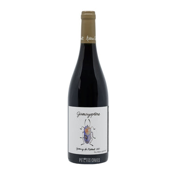 Coteaux Bourguignons 2021 - Domaine Antoine Lienhardt