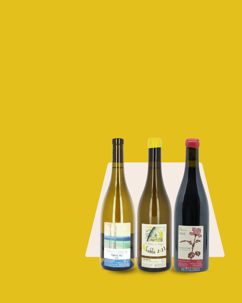 Discover the wines of Alice and Olivier De Moor