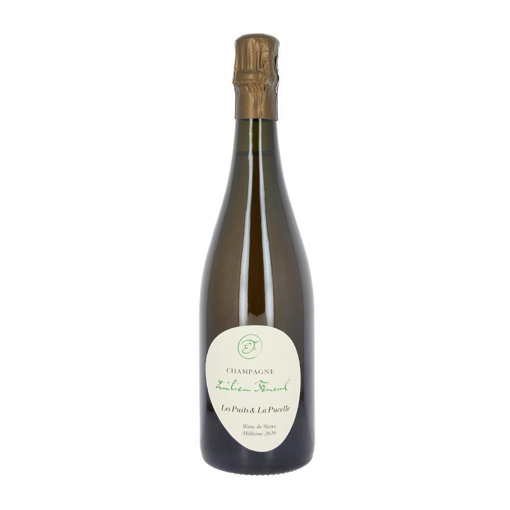 Champagne 1er cru Les Puits La Pucelle 2020 | Emilien Feneuil
