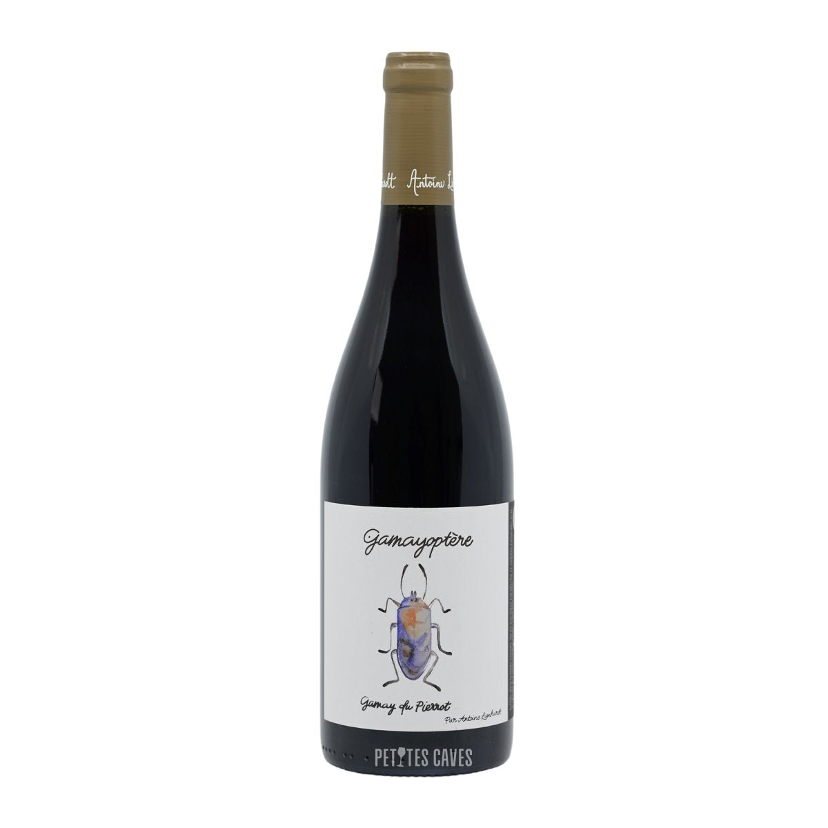 Coteaux Bourguignons 2022 | Winery Antoine Lienhardt