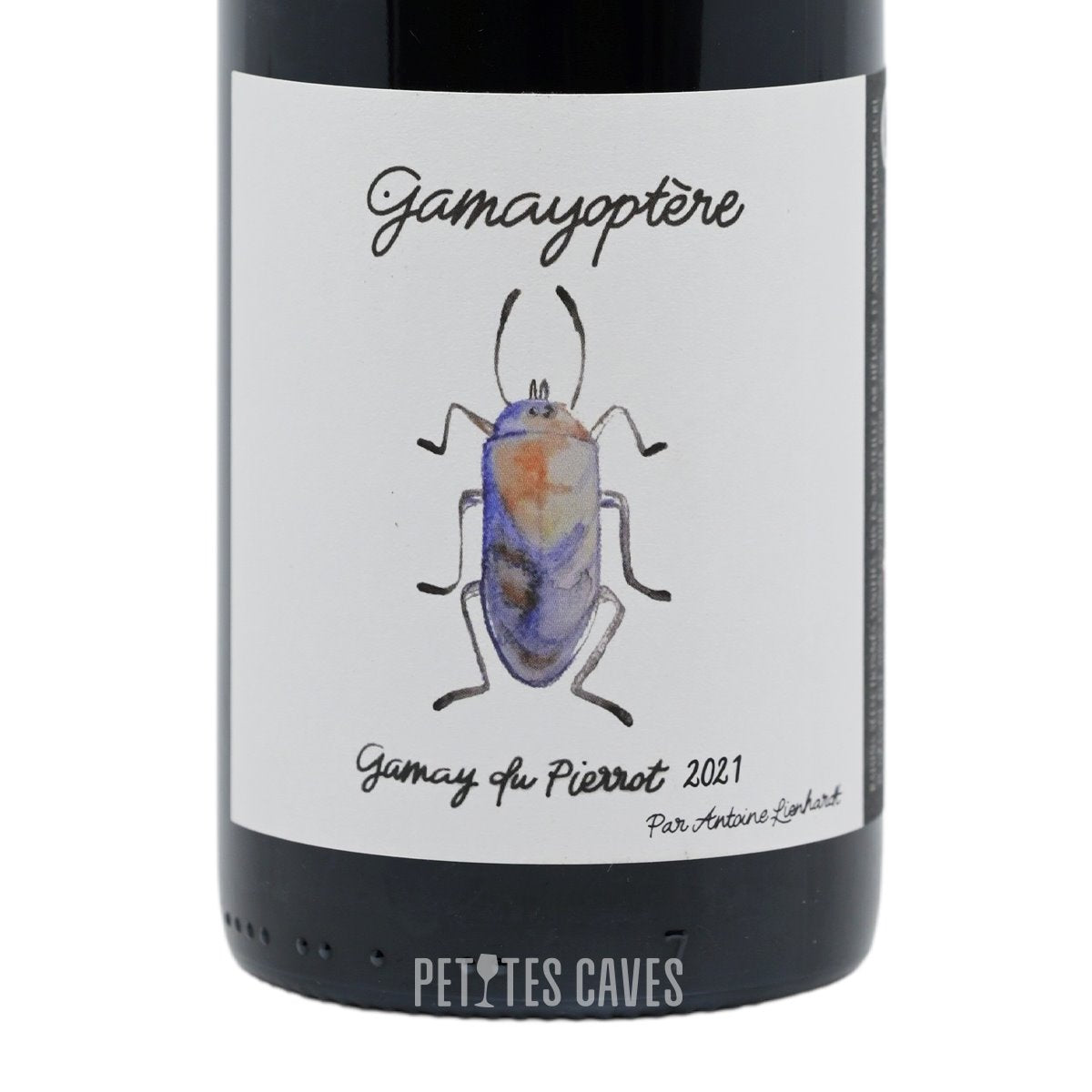 Coteaux Bourguignons 2021 - Domaine Antoine Lienhardt zoom