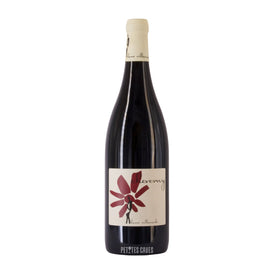 Red Cheverny Winery - Hervé Villemade